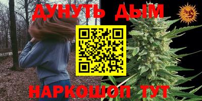 гашик Нарткала