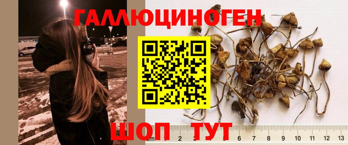 Псилоцибиновые грибы мухоморы  Вход с VPN  Чайковский  наркотики  Галлюциногенные грибы GOLDEN TEACHER 