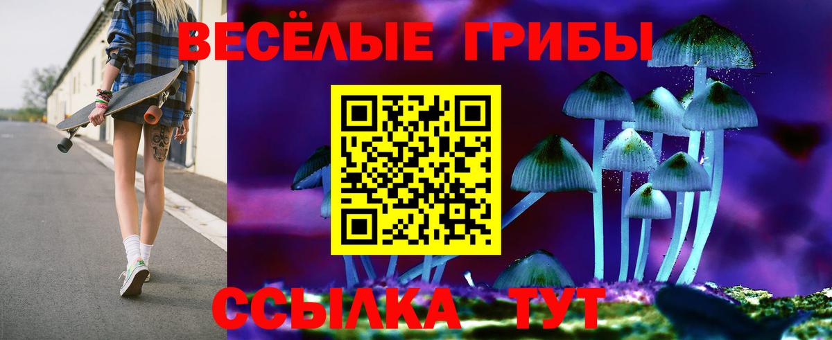 Галлюциногенные грибы мицелий Чайковский